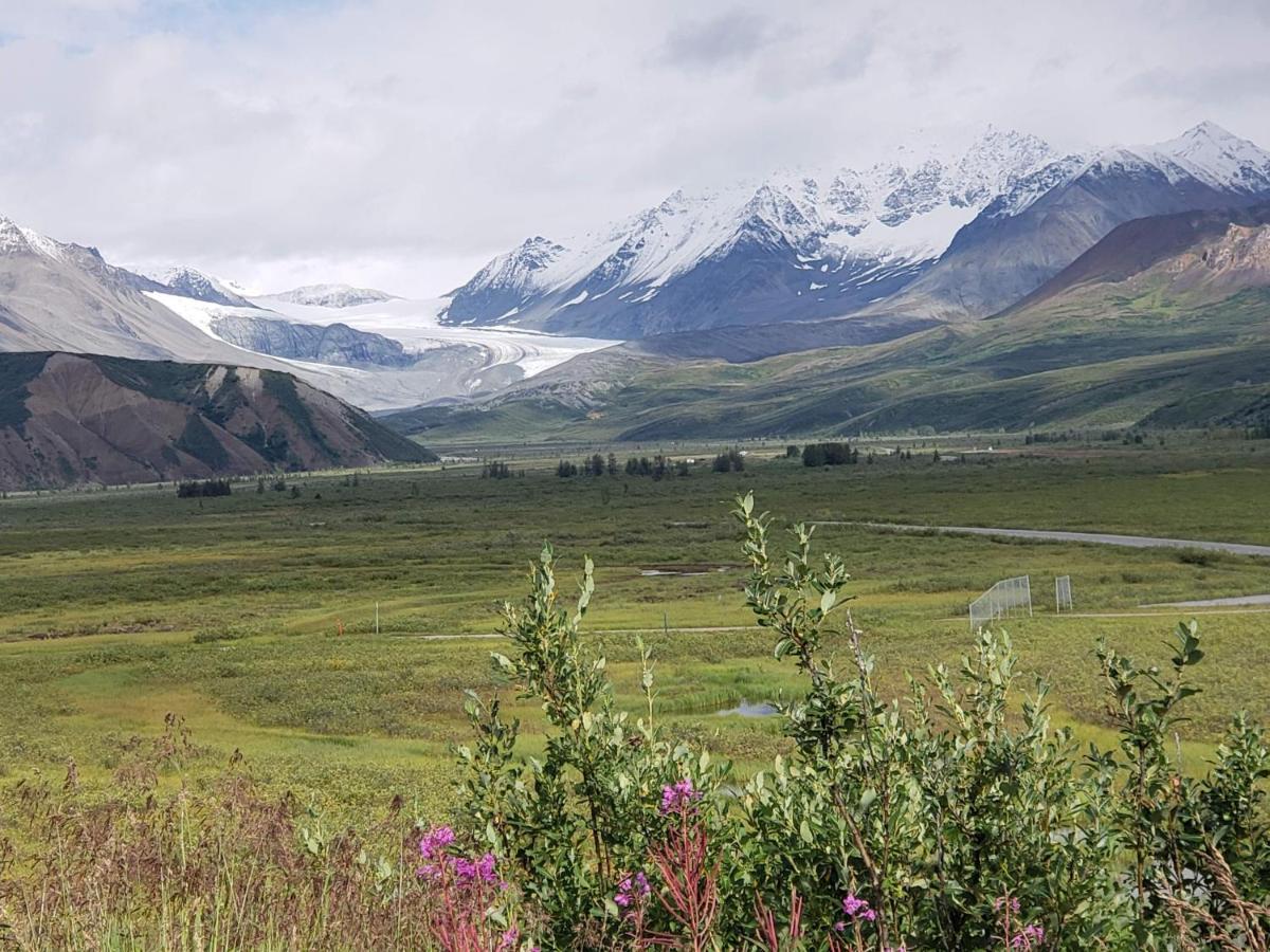 Denali Wild Stay - Moose Cabin, Free Wifi, 2 Private Bedrooms, Sleep 6 Healy Exterior photo