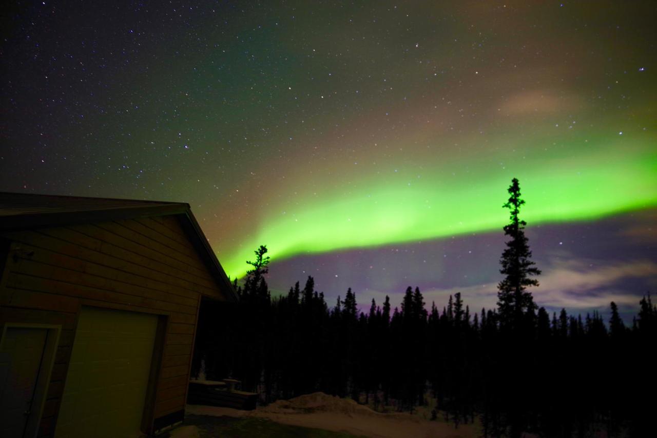 Denali Wild Stay - Moose Cabin, Free Wifi, 2 Private Bedrooms, Sleep 6 Healy Exterior photo
